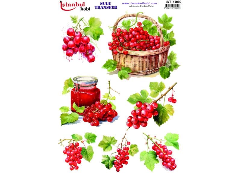 Sulu Transfer Kağıdı 25x35cm ST-1060