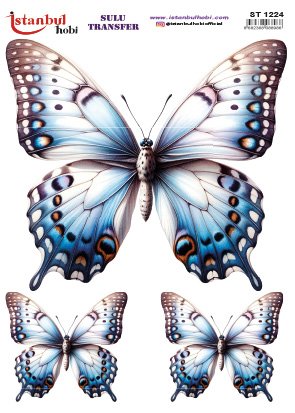 Sulu Transfer Kağıdı 25x35cm ST-1224