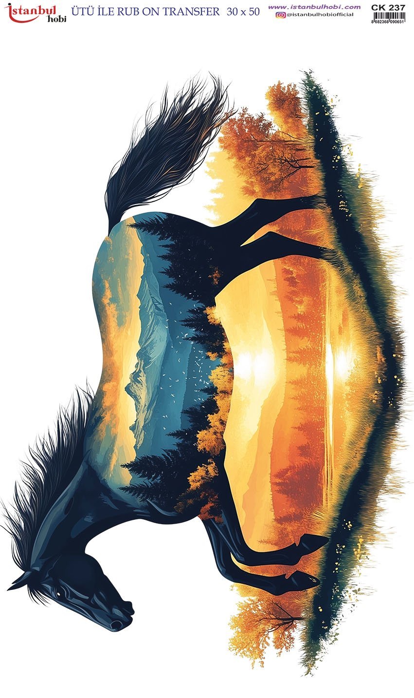 Ütü İle Rub On Transfer 30x50cm CK237
