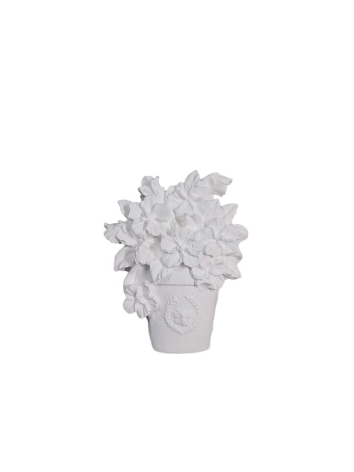 Saksıda Çiçekler 7,5x6cm