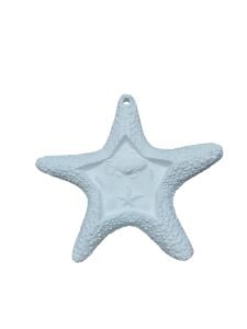 Deniz Yıldızı 17x16cm