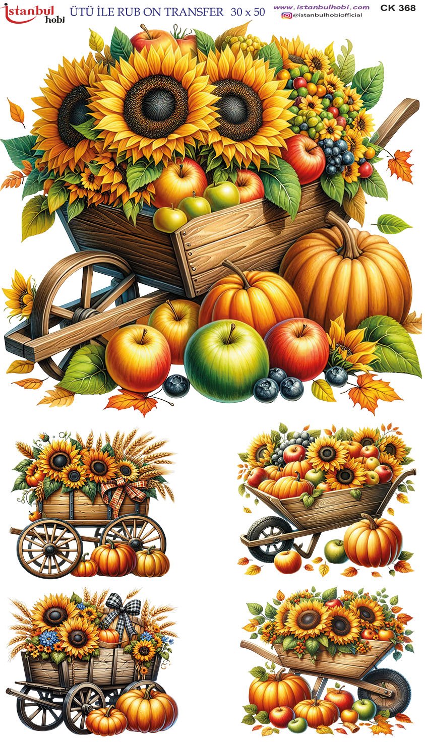 Ütü İle Rub On Transfer 30x50cm CK368