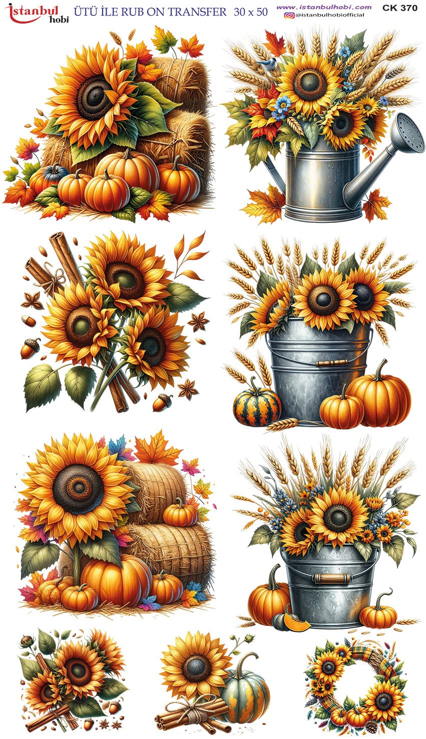 Ütü İle Rub On Transfer 30x50cm CK370