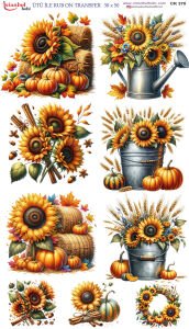 Ütü İle Rub On Transfer 30x50cm CK370