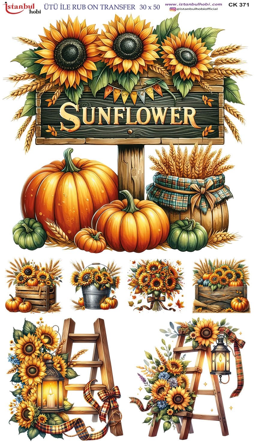 Ütü İle Rub On Transfer 30x50cm CK371