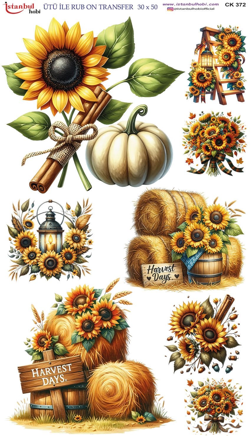 Ütü İle Rub On Transfer 30x50cm CK372