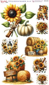 Ütü İle Rub On Transfer 30x50cm CK372