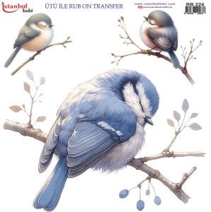 Ütü İle Rub On Transfer 30x30cm RB224