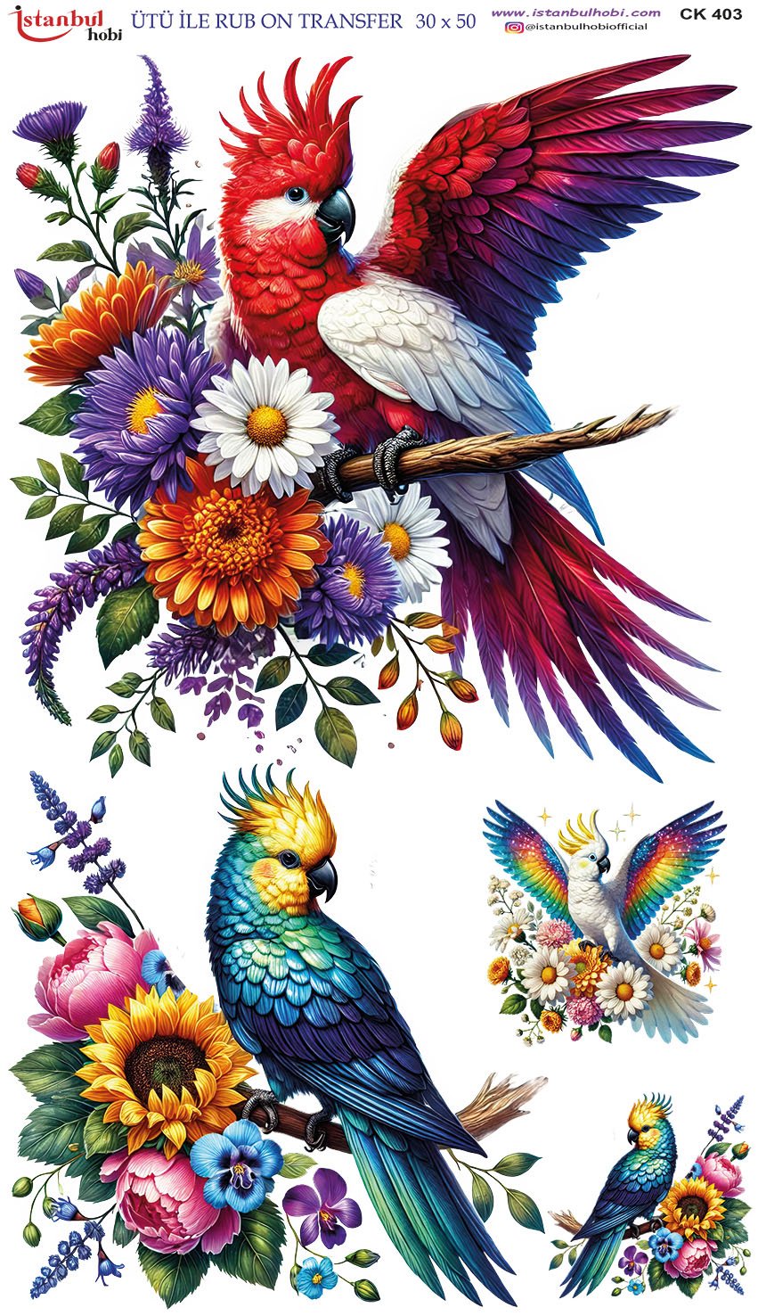 Ütü İle Rub On Transfer 30x50cm CK403