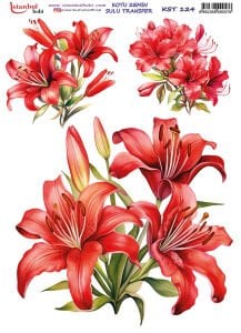 Koyu Zemin Sulu Transfer Kağıdı 25x35cm KST124