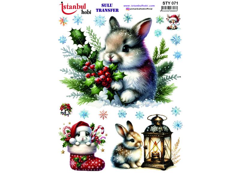Yılbaşı Sulu Transfer Kağıdı 25x35cm STY-071