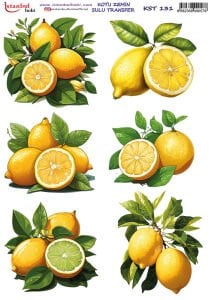 Koyu Zemin Sulu Transfer Kağıdı 25x35cm KST131