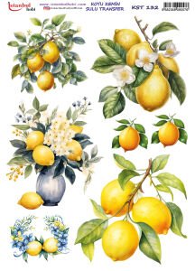 Koyu Zemin Sulu Transfer Kağıdı 25x35cm KST132