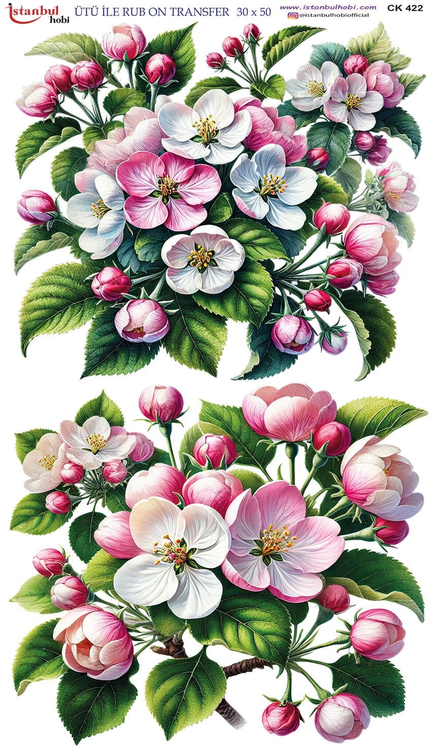 Ütü İle Rub On Transfer 30x50cm CK422