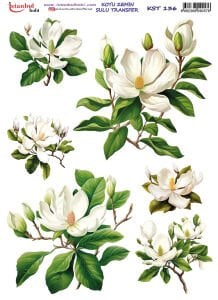 Koyu Zemin Sulu Transfer Kağıdı 25x35cm KST136