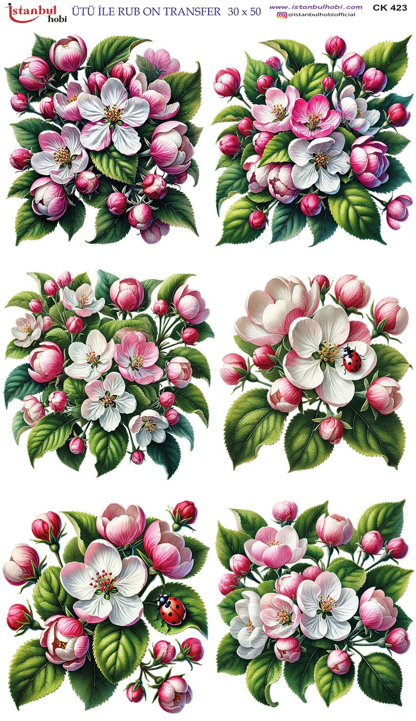 Ütü İle Rub On Transfer 30x50cm CK423