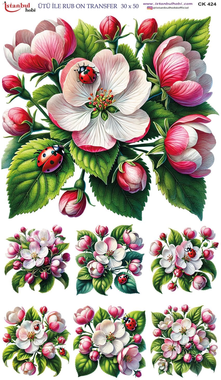 Ütü İle Rub On Transfer 30x50cm CK424