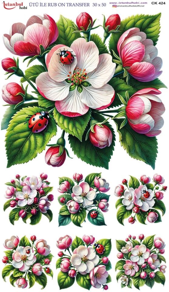Ütü İle Rub On Transfer 30x50cm CK424