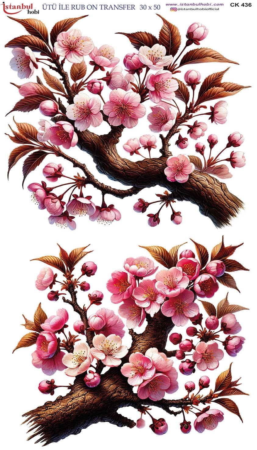 Ütü İle Rub On Transfer 30x50cm CK436