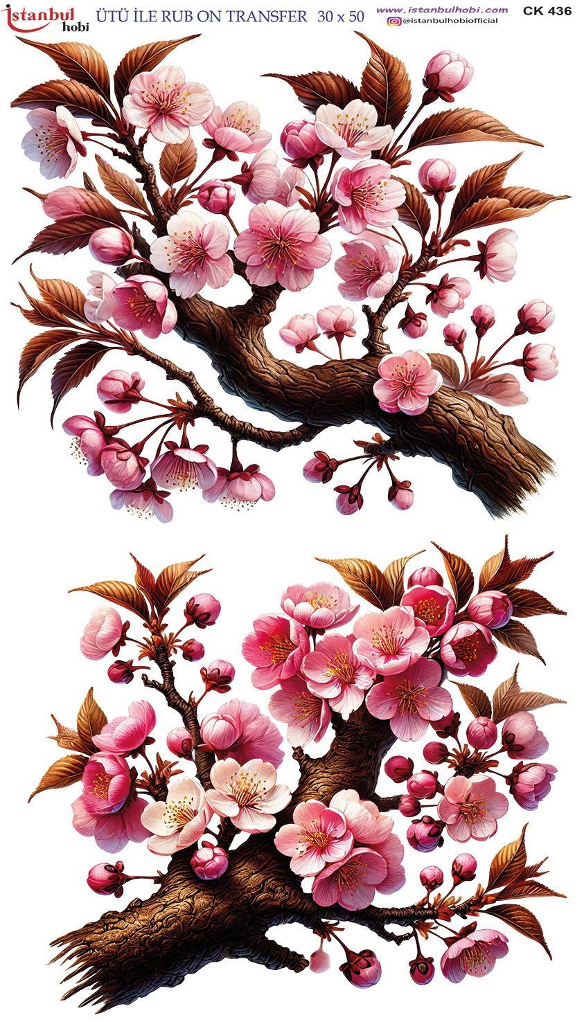 Ütü İle Rub On Transfer 30x50cm CK436