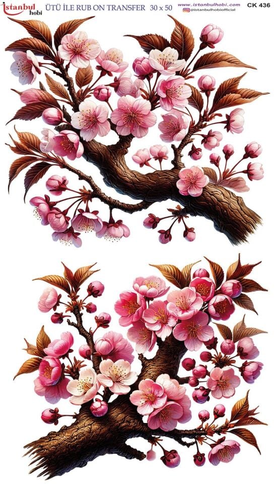 Ütü İle Rub On Transfer 30x50cm CK436