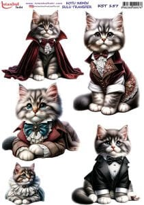 Koyu Zemin Sulu Transfer Kağıdı 25x35cm KST157