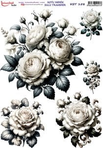 Koyu Zemin Sulu Transfer Kağıdı 25x35cm KST158