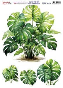 Koyu Zemin Sulu Transfer Kağıdı 25x35cm KST159