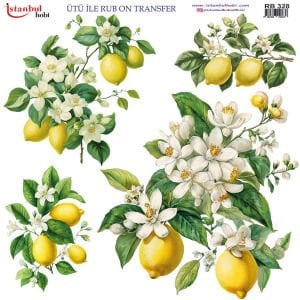 Ütü İle Rub On Transfer 30x30cm RB328