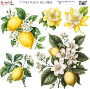 Ütü İle Rub On Transfer 30x30cm RB329