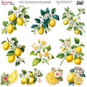 Ütü İle Rub On Transfer 30x30cm RB330