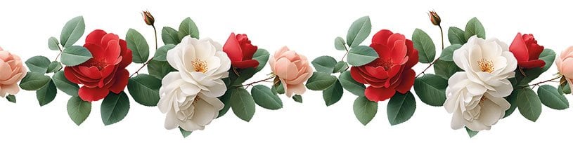 Bordür Rub On Transfer 150cm RK210