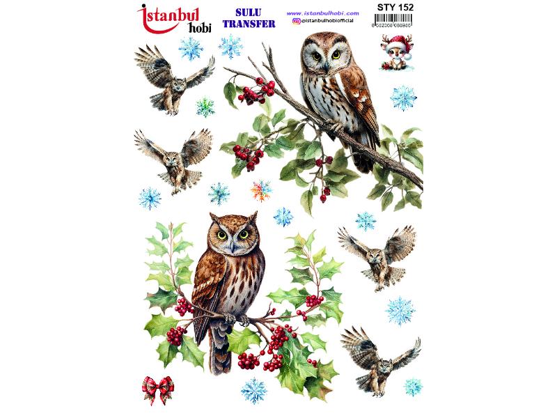Yılbaşı Sulu Transfer Kağıdı 25x35cm STY-152