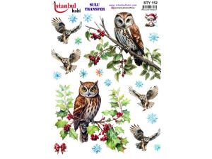 Yılbaşı Sulu Transfer Kağıdı 25x35cm STY-152