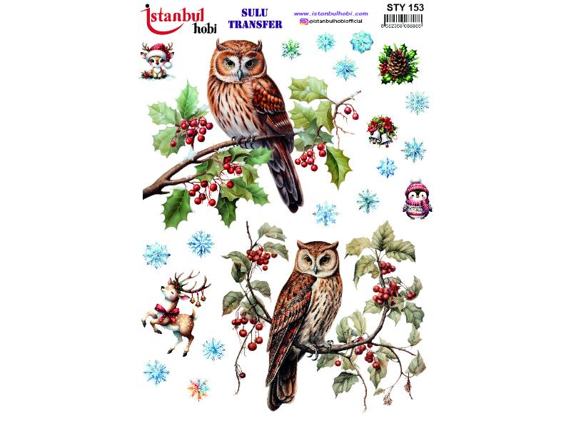 Yılbaşı Sulu Transfer Kağıdı 25x35cm STY-153