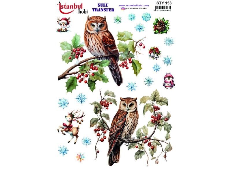 Yılbaşı Sulu Transfer Kağıdı 25x35cm STY-153