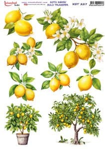 Koyu Zemin Sulu Transfer Kağıdı 25x35cm KST227