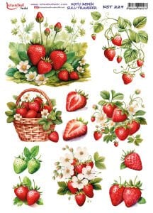 Koyu Zemin Sulu Transfer Kağıdı 25x35cm KST229