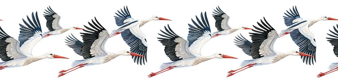 Bordür Rub On Transfer 150cm RK237