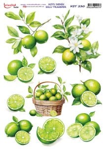 Koyu Zemin Sulu Transfer Kağıdı 25x35cm KST230