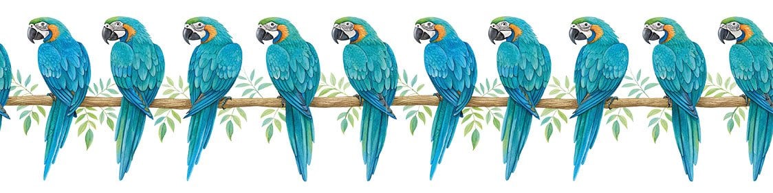 Bordür Rub On Transfer 150cm RK238