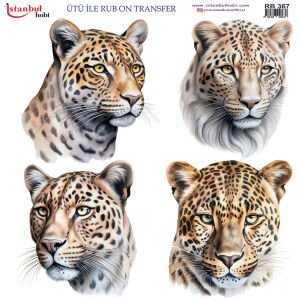 Ütü İle Rub On Transfer 30x30cm RB367