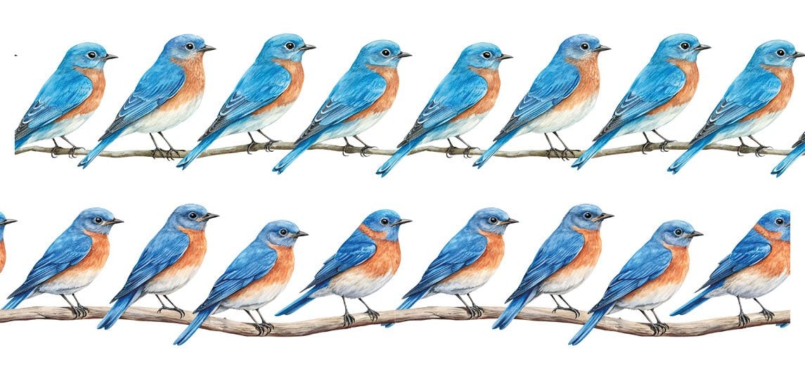 Bordür Rub On Transfer 150cm RK243