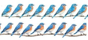 Bordür Rub On Transfer 150cm RK243