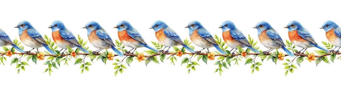 Bordür Rub On Transfer 150cm RK245