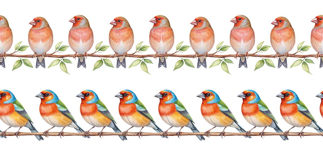 Bordür Rub On Transfer 150cm RK247