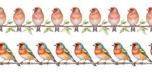 Bordür Rub On Transfer 150cm RK247