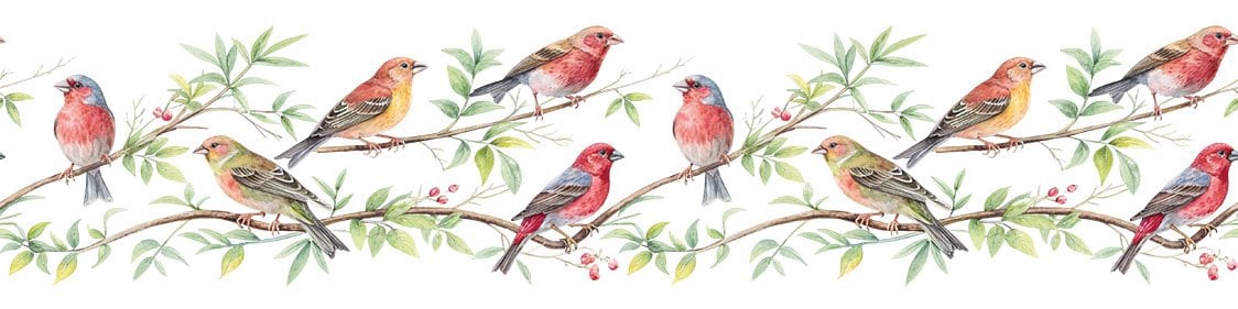 Bordür Rub On Transfer 150cm RK249