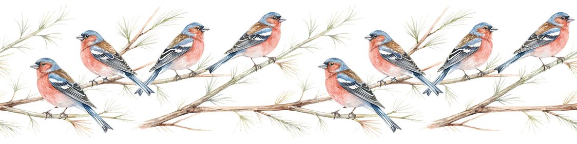 Bordür Rub On Transfer 150cm RK250