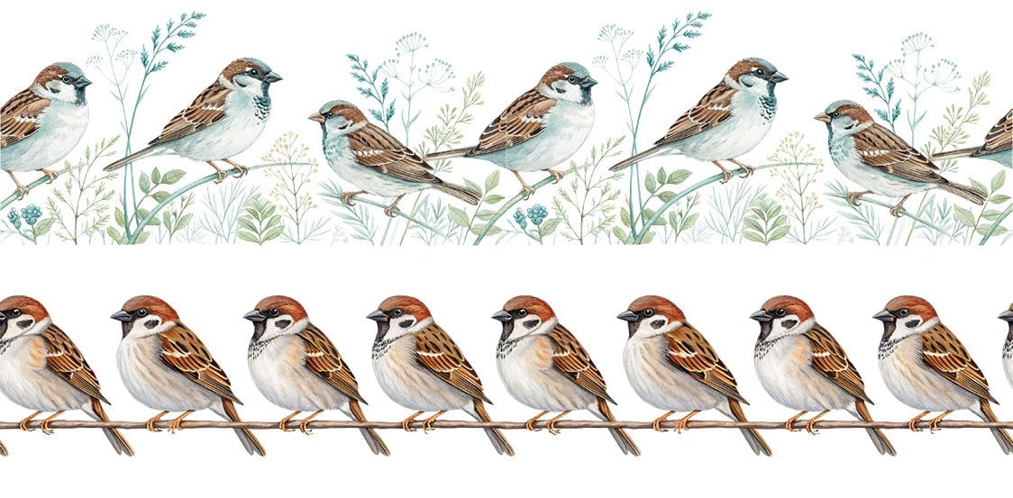 Bordür Rub On Transfer 150cm RK251